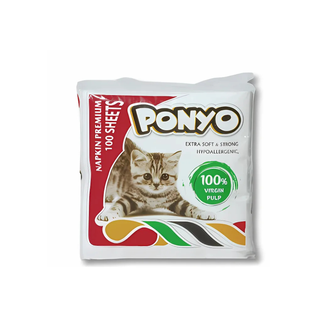 Superior Softness Eco-Friendly 2-Ply Napkins — 24 × 24 cm Pack